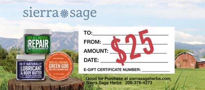$25 E-Gift Certificate